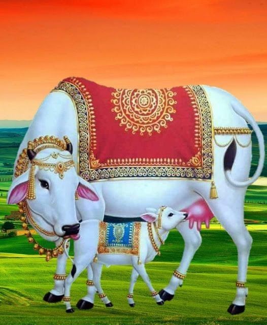 Cow as Mother